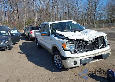 2009 Ford F-150 Fx4/King Ranch/Lariat/Platinum/Xl/Xlt z USA, uszkodzony, nr VIN 1FTPW14V59KB99914